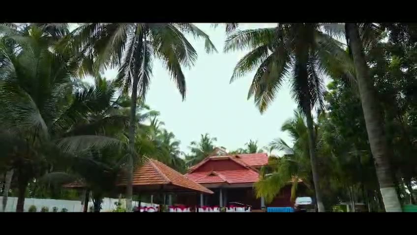 Guests dancing and celebrating together at Tarini’s Kalapura, with views of the house among the palms