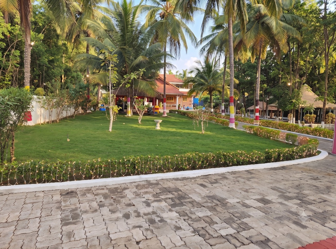 Daylight view of the lawns and palm grove at Tarini’s Kalapura