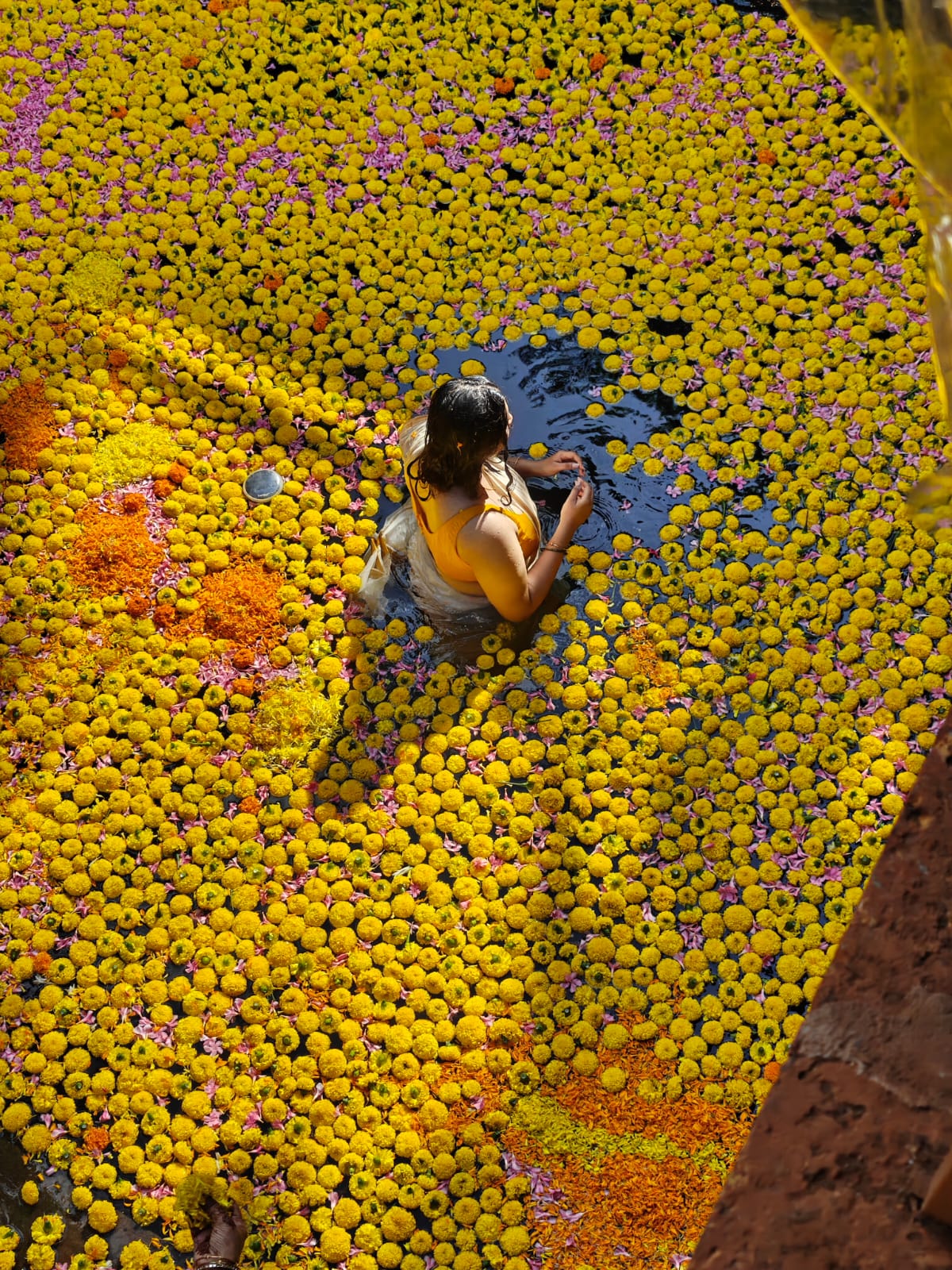 Bride in the flower-filled pond during a ceremonial bath