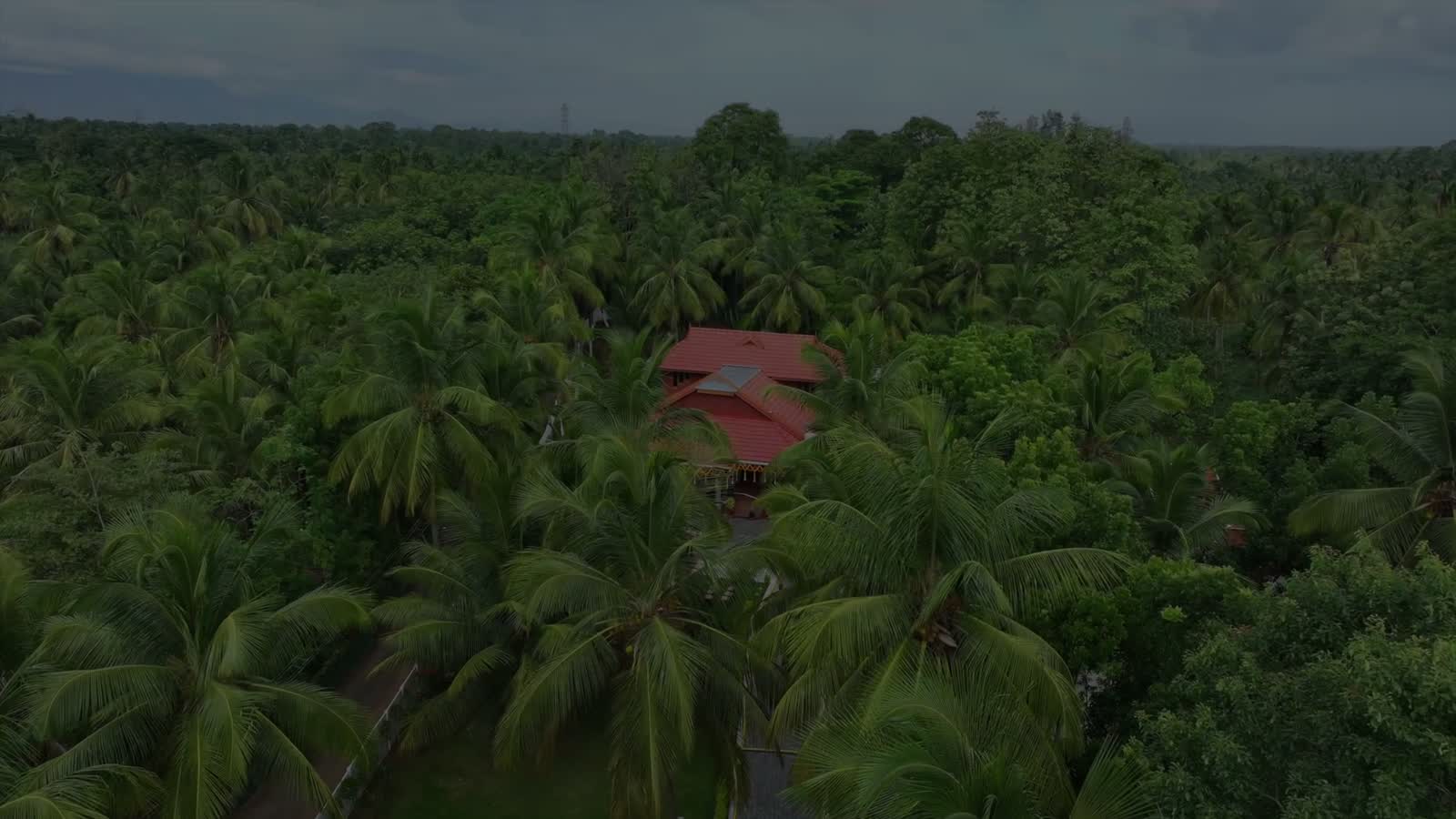 Tarini’s Kalapura at golden hour — veranda, pond and greenery